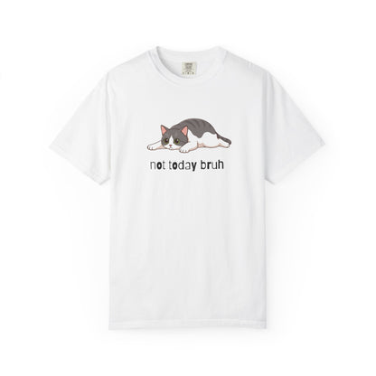 Short hair bi-color gray cat Not Today Bruh T-Shirt