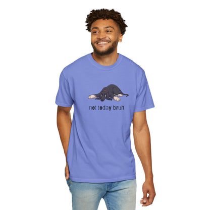 Afghan Hound Not Today Bruh T-Shirt