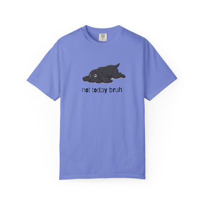 Spaniel Not Today Bruh T-Shirt