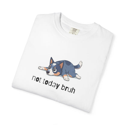 Blue Heeler Not Today Bruh T-Shirt