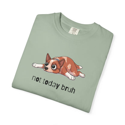 Heeler Not Today Bruh T-Shirt