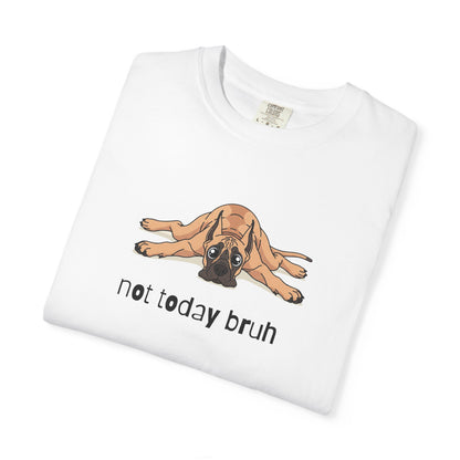 Great Dane Not Today Bruh T-Shirt
