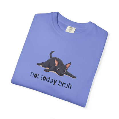 Hairless Dog Not Today Bruh T-Shirt