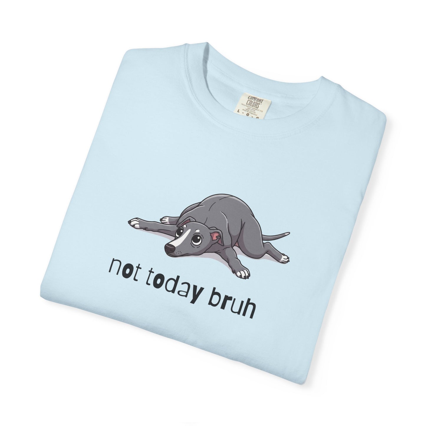 Greyhound Not Today Bruh T-Shirt