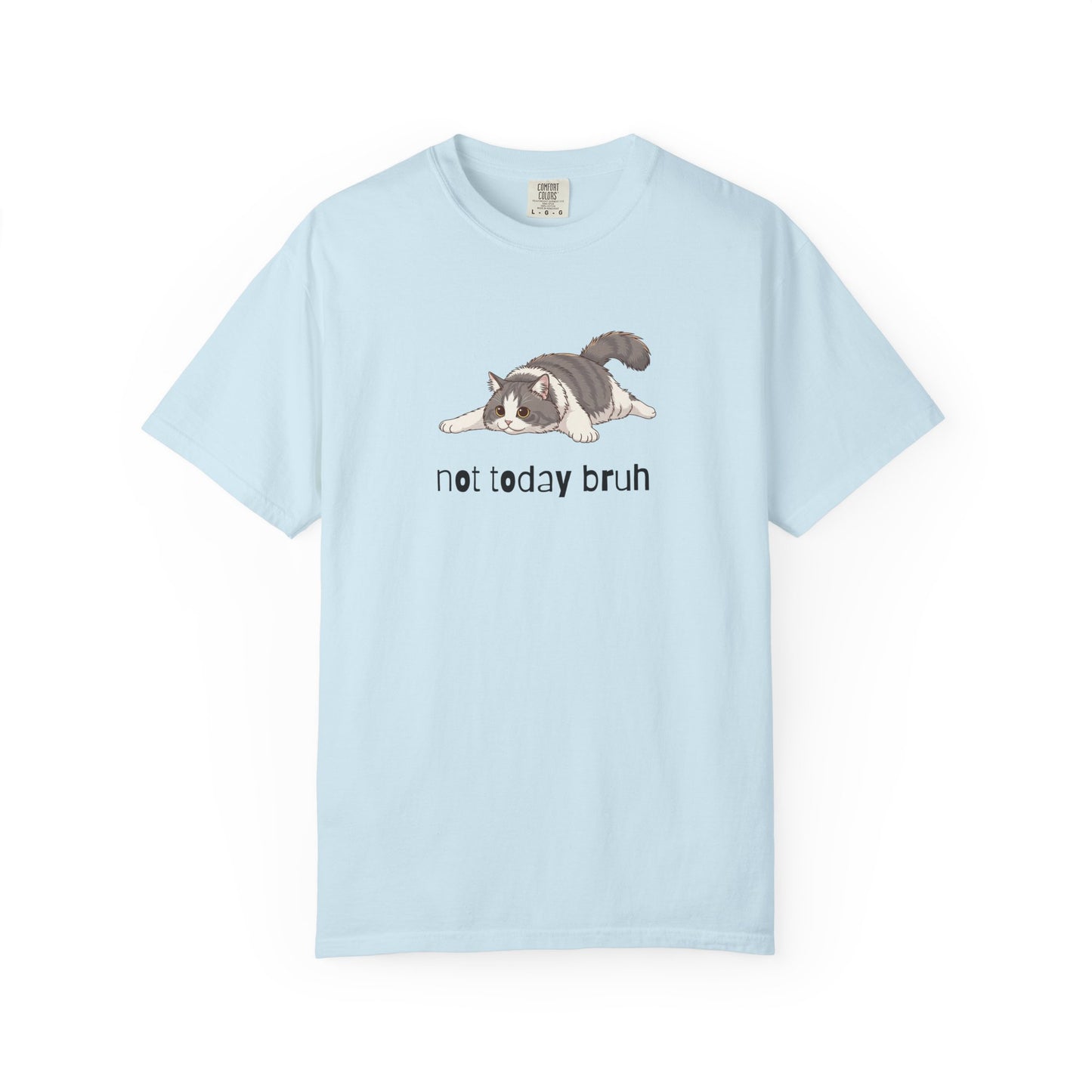 Long hair bi-color gray cat Not Today Bruh T-Shirt