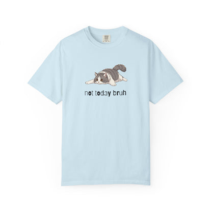Long hair bi-color gray cat Not Today Bruh T-Shirt