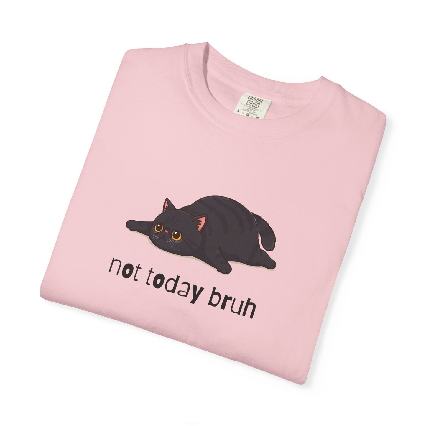 Exotic Shorthair Not Today Bruh T-Shirt