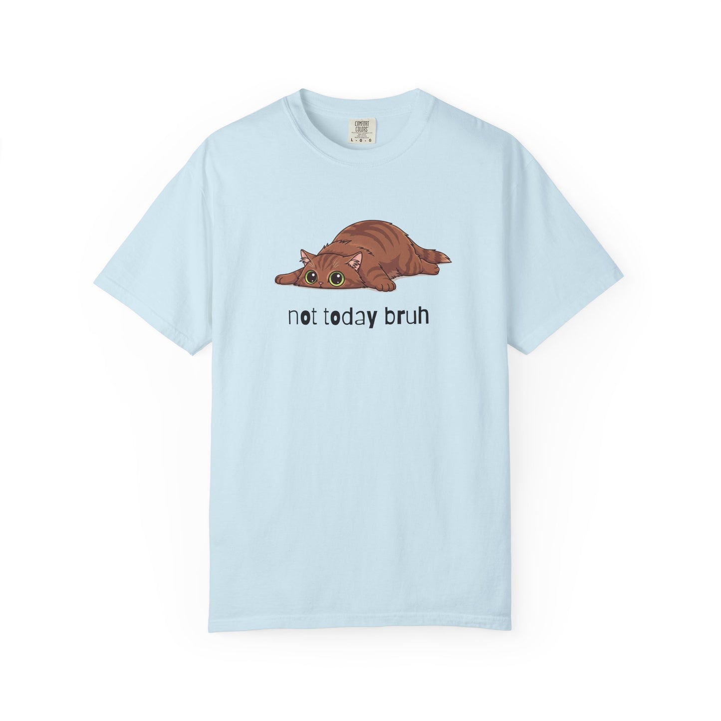 Long hair brown cat Not Today Bruh T-Shirt