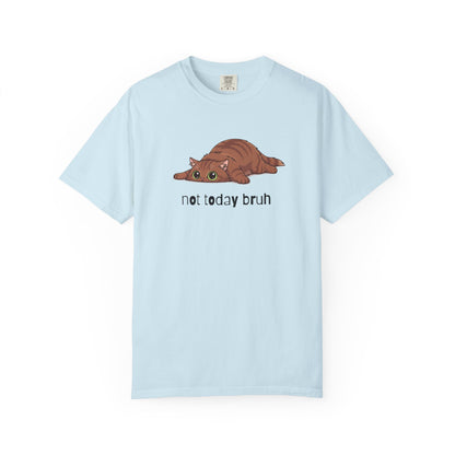 Long hair brown cat Not Today Bruh T-Shirt