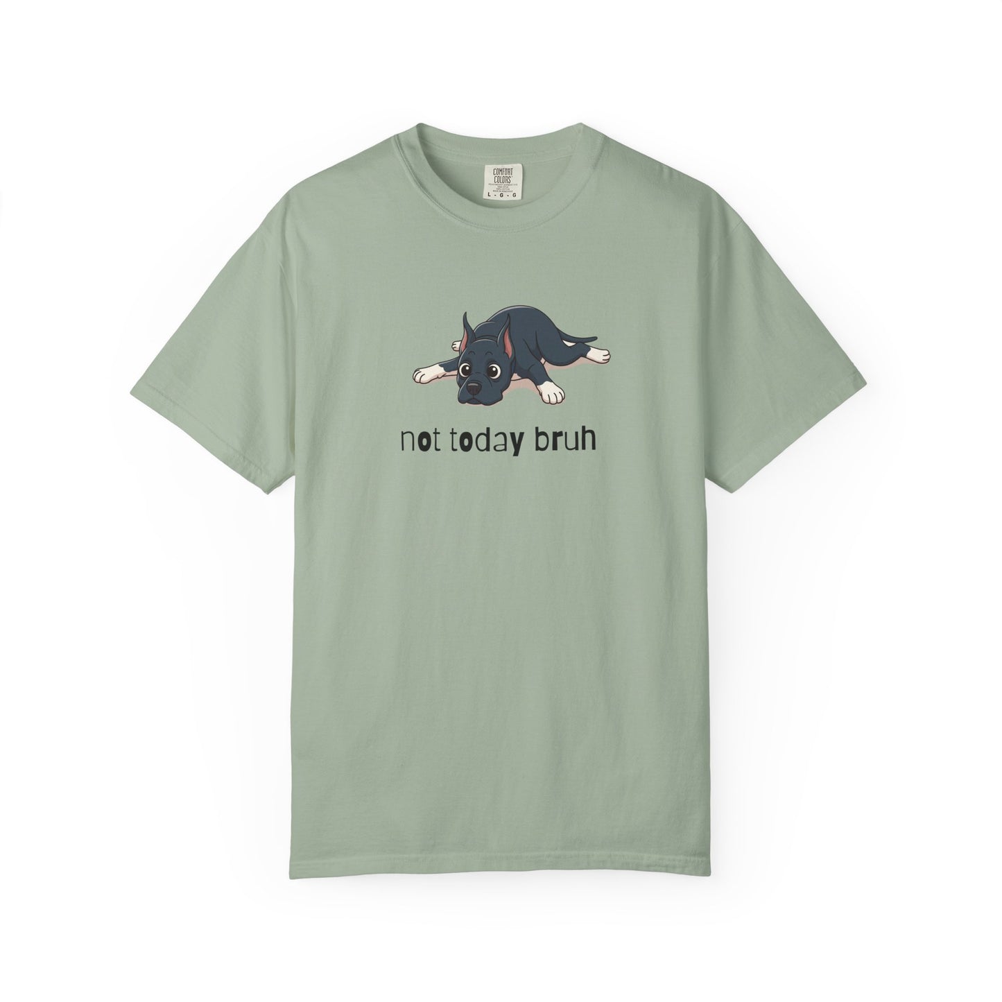 Great Dane Not Today Bruh T-Shirt