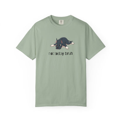 Great Dane Not Today Bruh T-Shirt