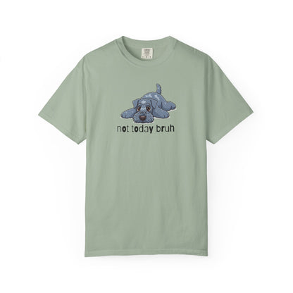 Kerry Blue Not Today Bruh T-Shirt