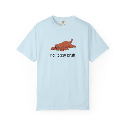 Cavalier Not Today Bruh T-Shirt