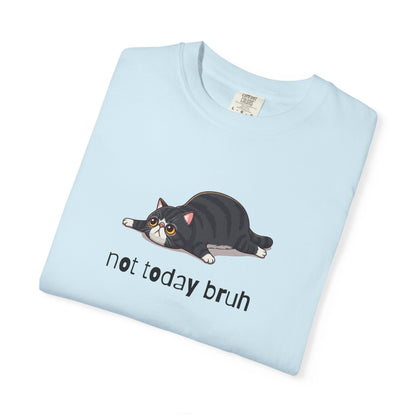 Exotic Shorthair Not Today Bruh T-Shirt