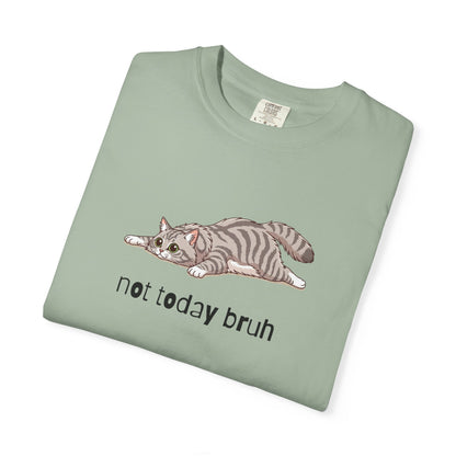 Long hair silver tabby cat Not Today Bruh T-Shirt