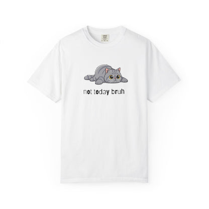 Persian Not Today Bruh T-Shirt