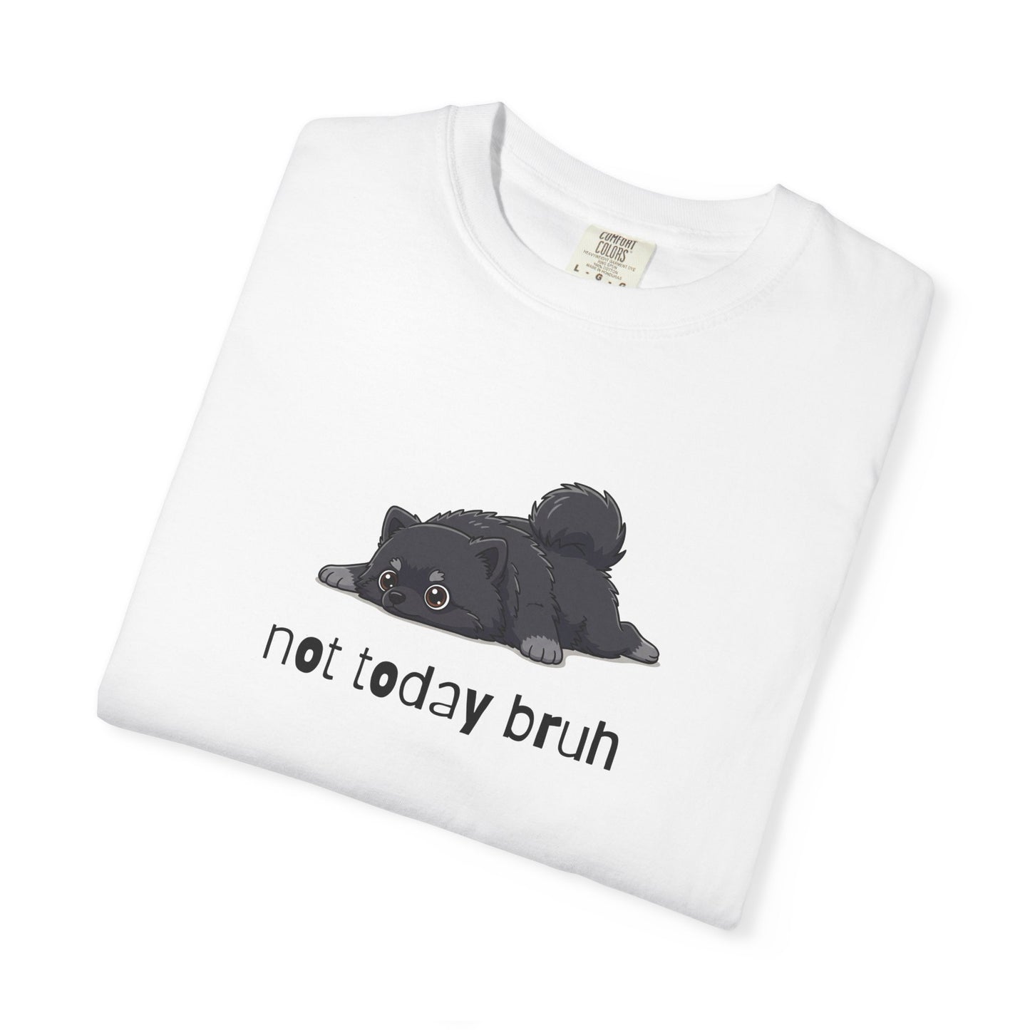 Pomeranian Not Today Bruh T-Shirt