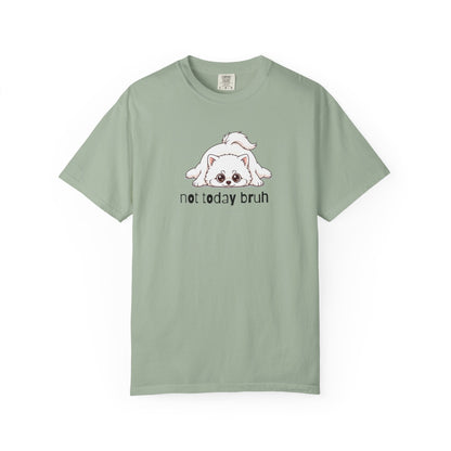 Pomeranian Not Today Bruh T-Shirt