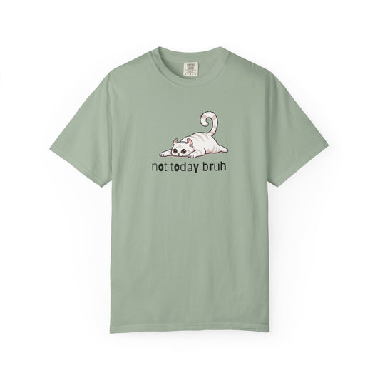 American Curl Not Today Bruh T-Shirt