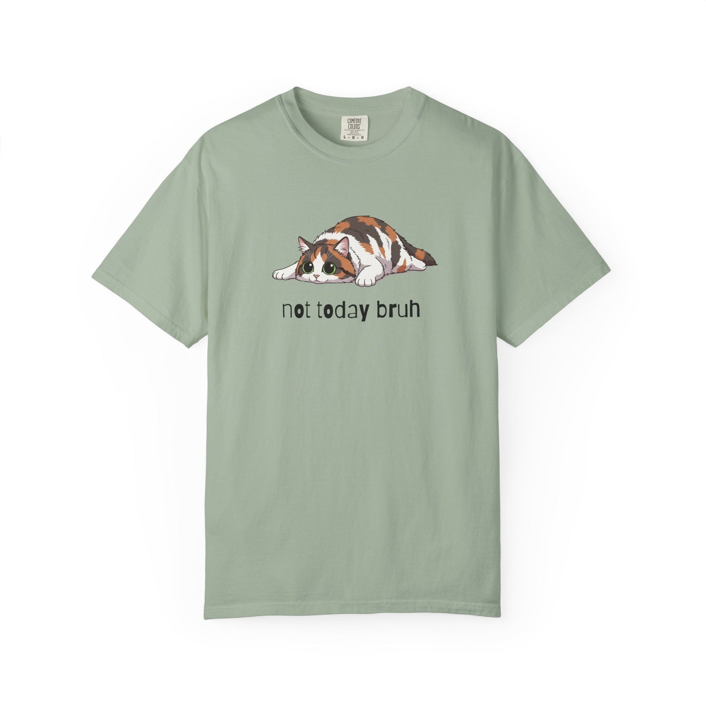 Long hair calico cat Not Today Bruh T-Shirt