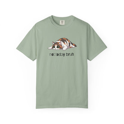 Long hair calico cat Not Today Bruh T-Shirt