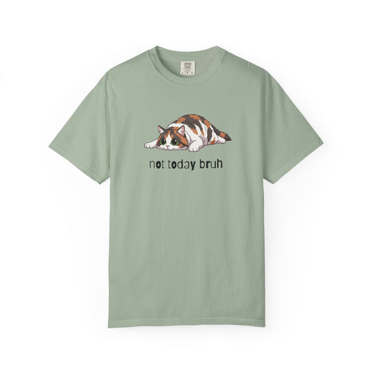 Long hair calico cat Not Today Bruh T-Shirt