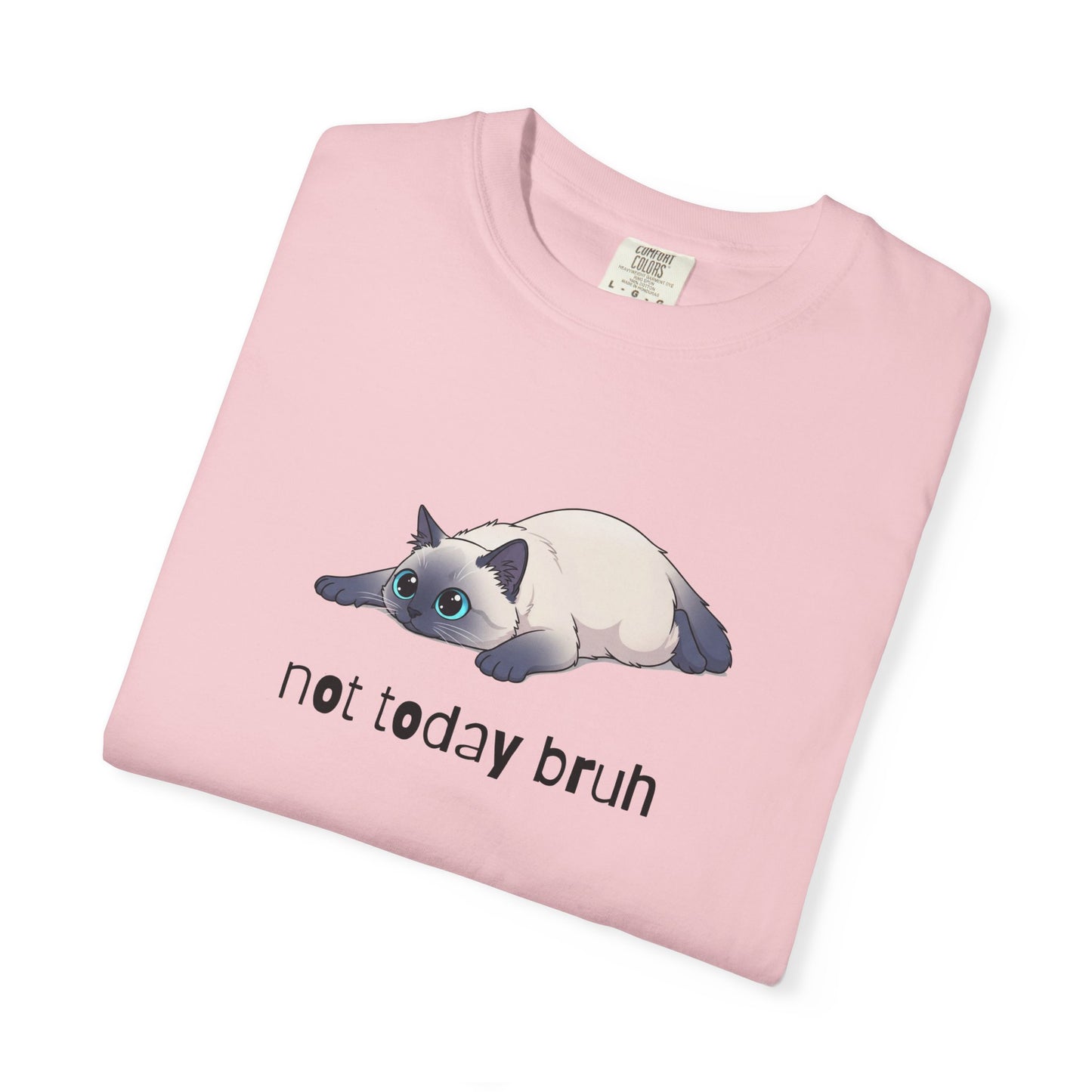 Ragdoll Not Today Bruh T-Shirt