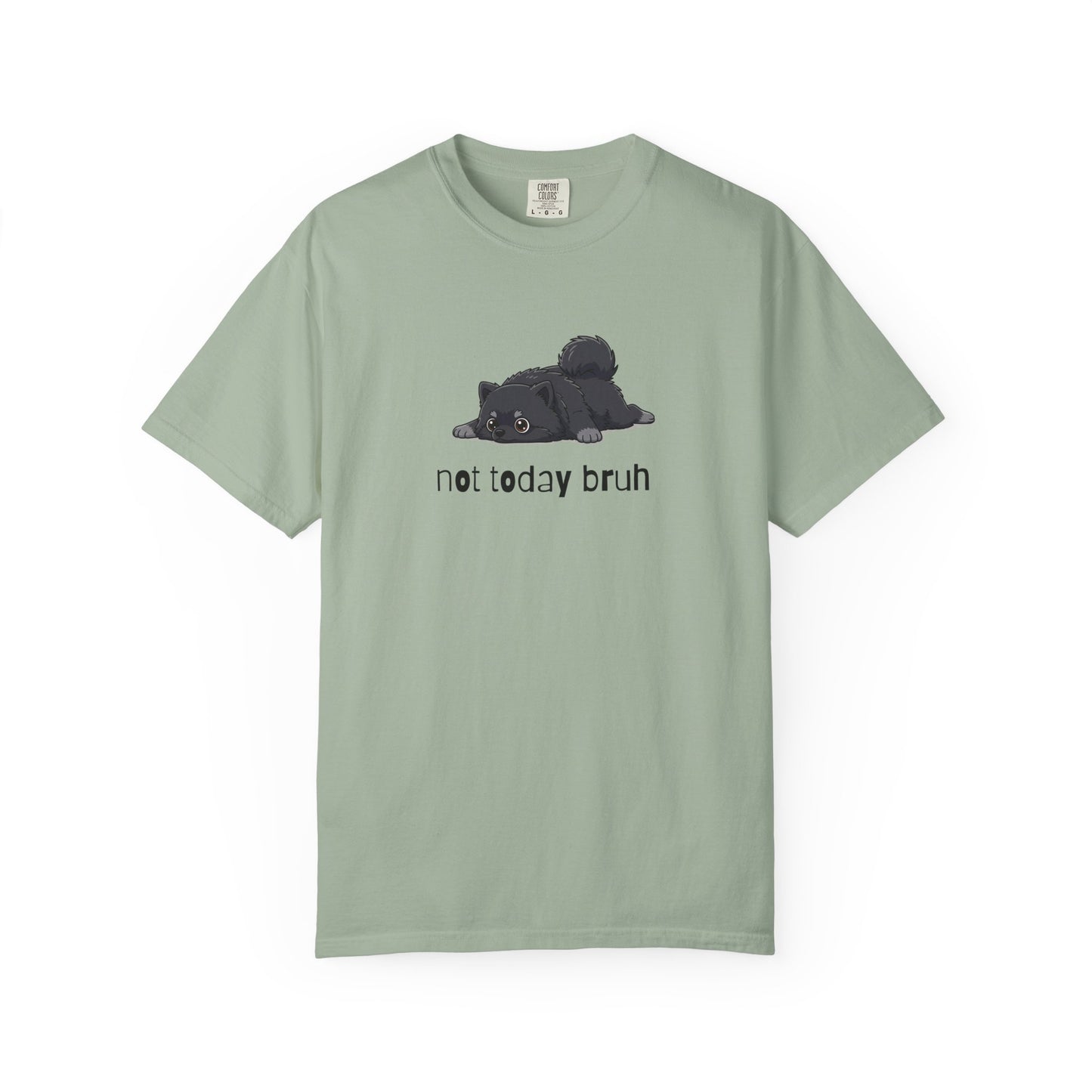 Pomeranian Not Today Bruh T-Shirt