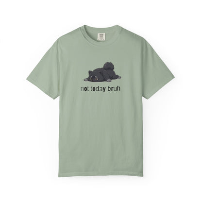 Pomeranian Not Today Bruh T-Shirt