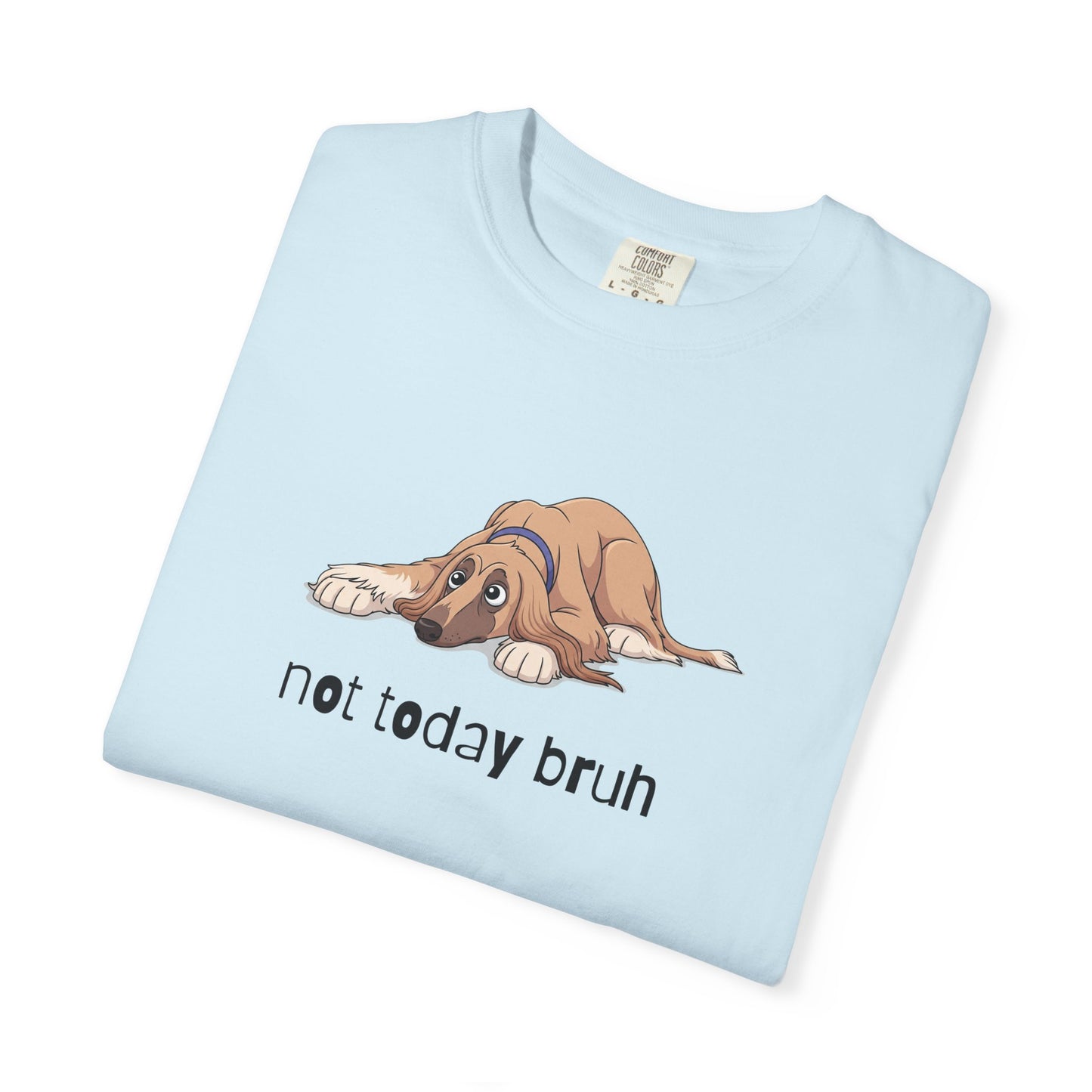 Afghan Hound Not Today Bruh T-Shirt
