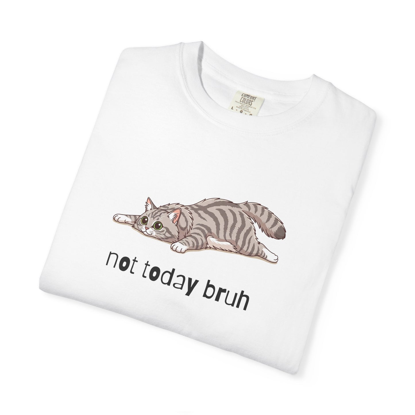 Long hair silver tabby cat Not Today Bruh T-Shirt
