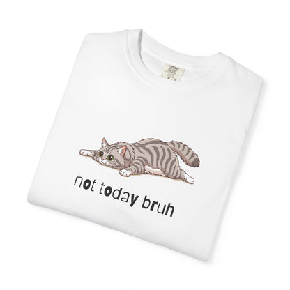 Long hair silver tabby cat Not Today Bruh T-Shirt