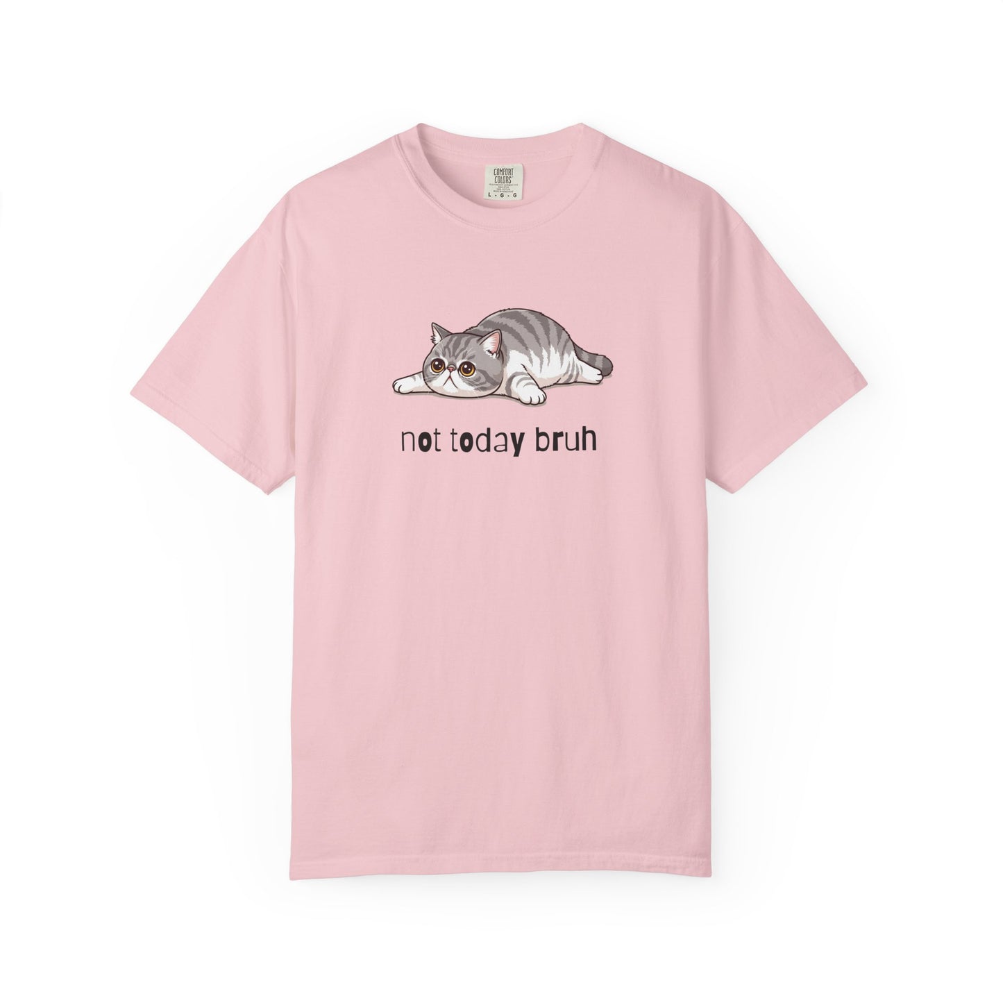 Exotic Shorthair Not Today Bruh T-Shirt