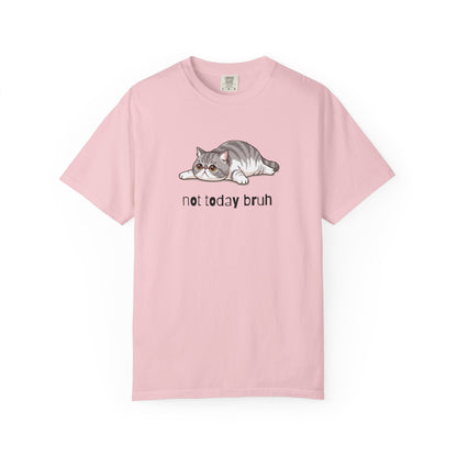 Exotic Shorthair Not Today Bruh T-Shirt