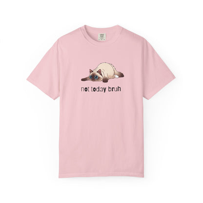 Ragdoll Not Today Bruh T-Shirt