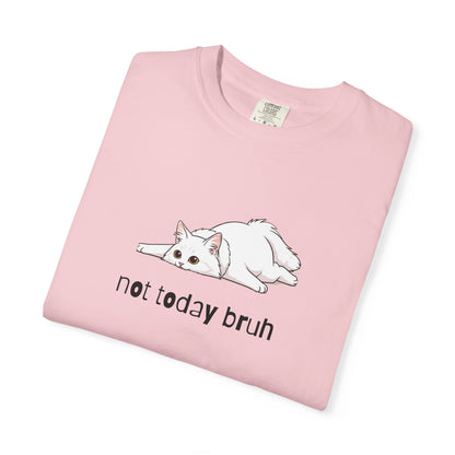 Long hair white cat Not Today Bruh T-Shirt