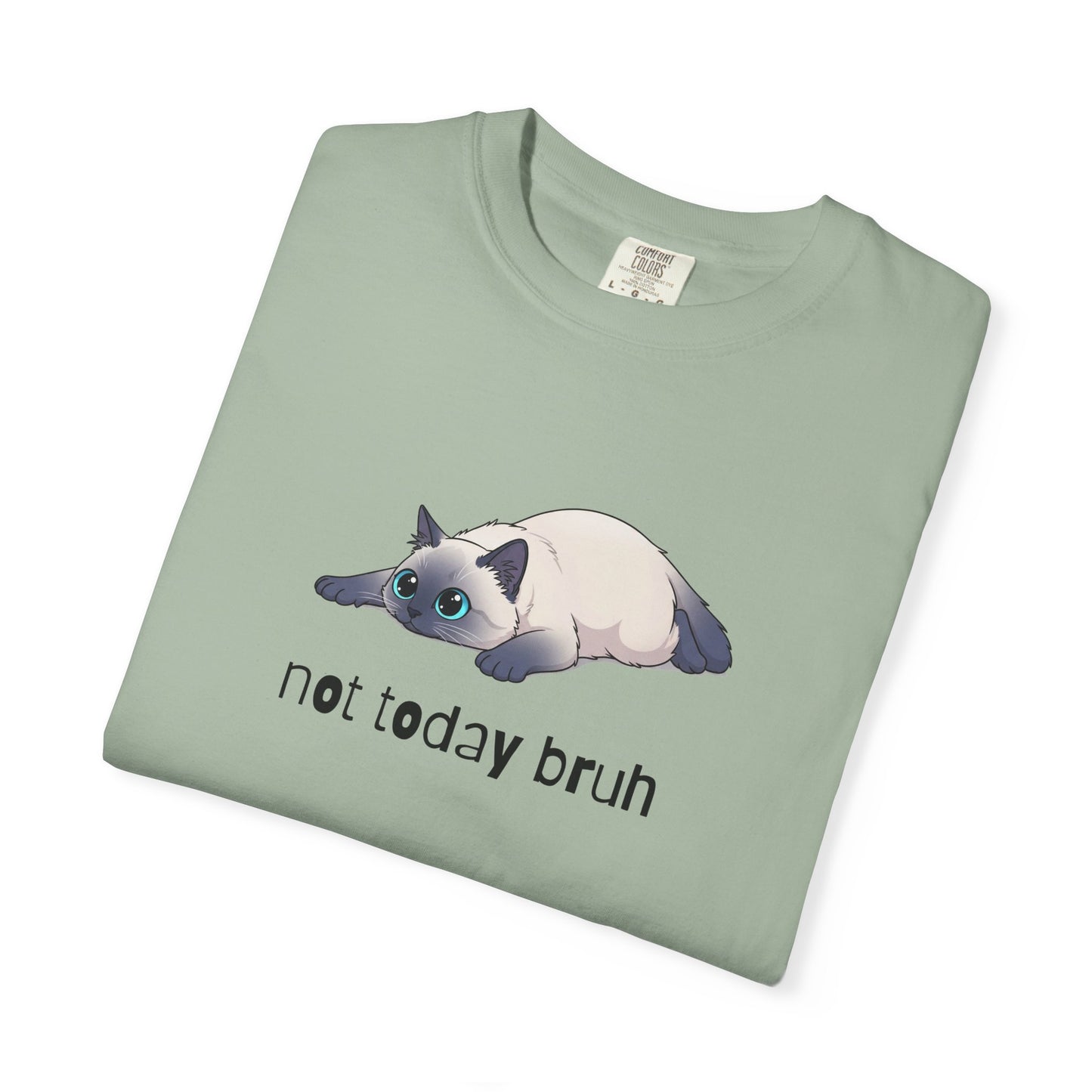 Ragdoll Not Today Bruh T-Shirt