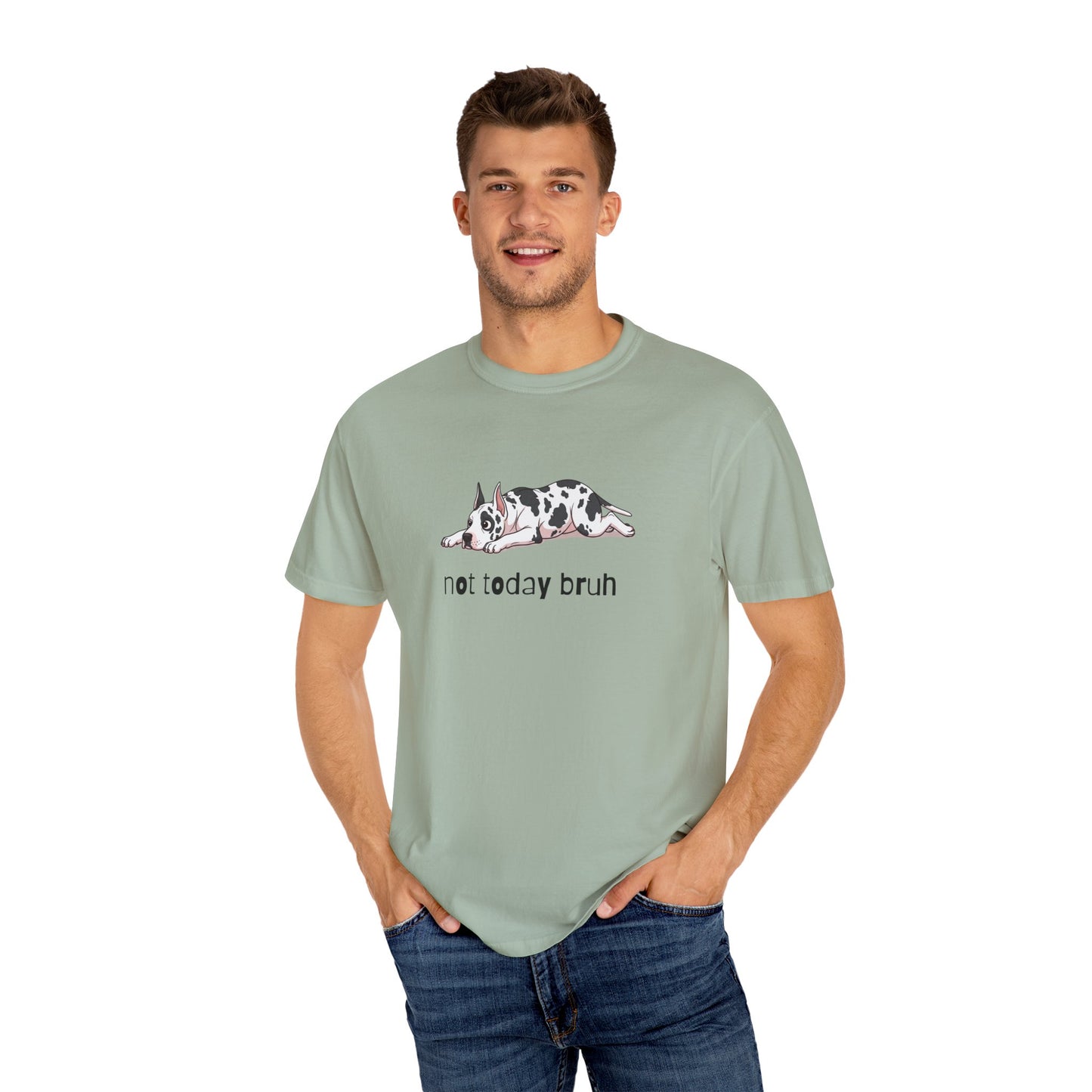 Great Dane Not Today Bruh T-Shirt