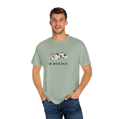 Great Dane Not Today Bruh T-Shirt