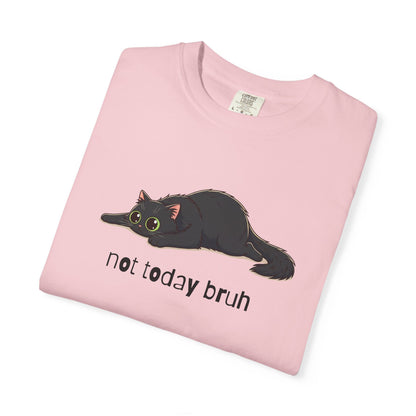 Long hair black cat Not Today Bruh T-Shirt