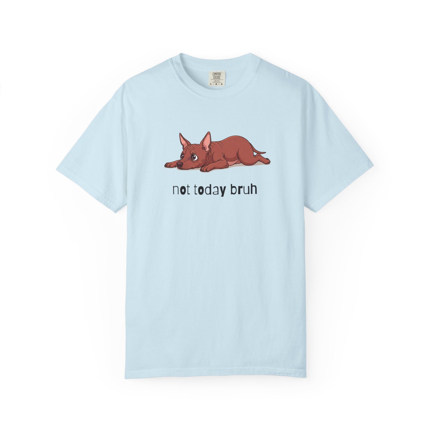 Hairless Dog Not Today Bruh T-Shirt