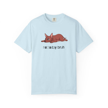 Hairless Dog Not Today Bruh T-Shirt