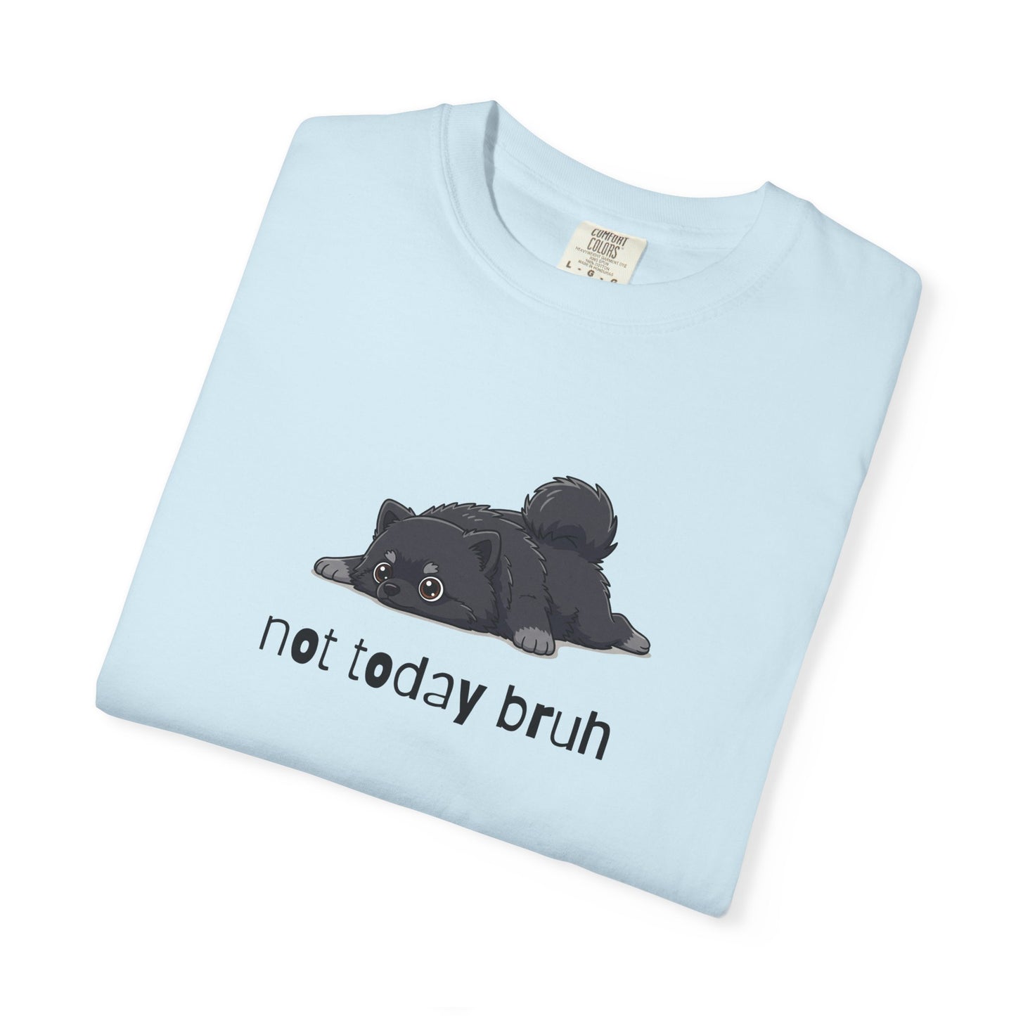 Pomeranian Not Today Bruh T-Shirt