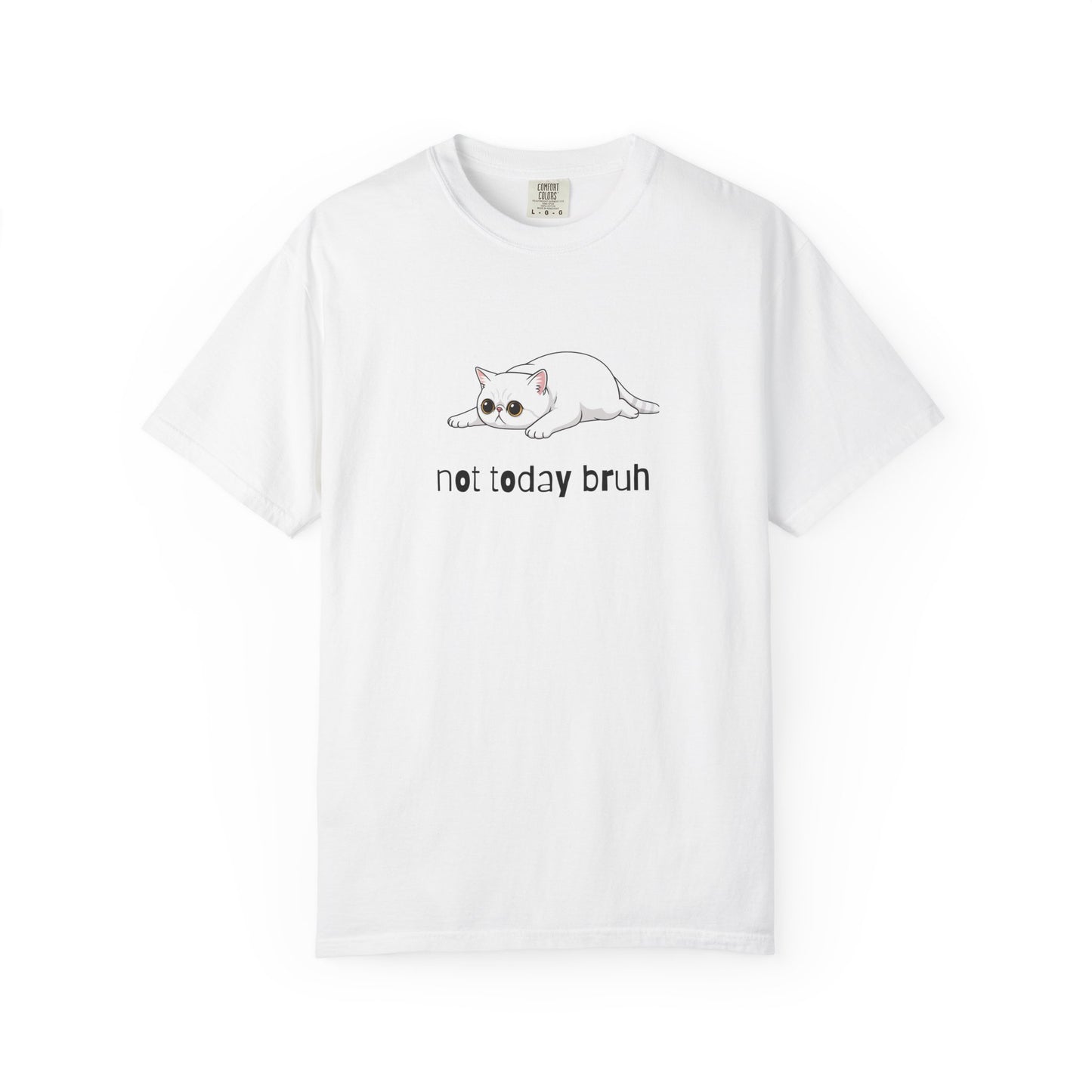 Exotic Shorthair Not Today Bruh T-Shirt