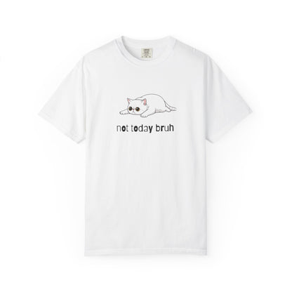 Exotic Shorthair Not Today Bruh T-Shirt