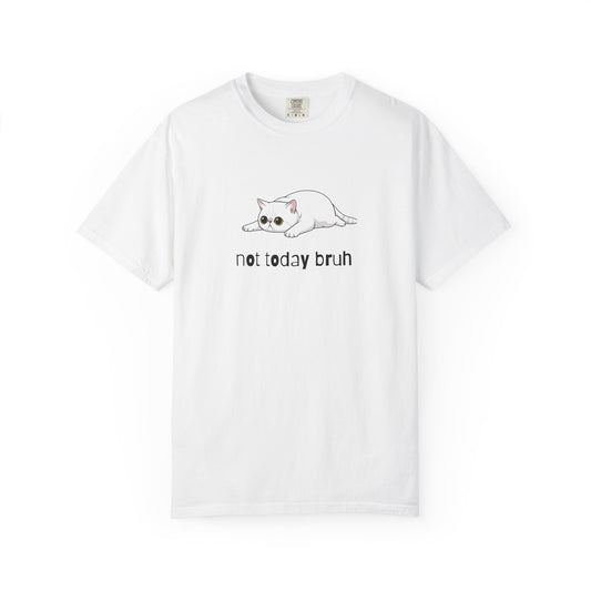 Exotic Shorthair Not Today Bruh T-Shirt