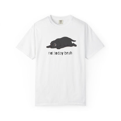Labrador Not Today Bruh T-Shirt