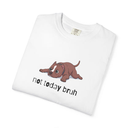 Pitbull Not Today Bruh T-Shirt