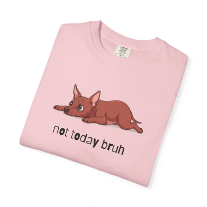 Hairless Dog Not Today Bruh T-Shirt