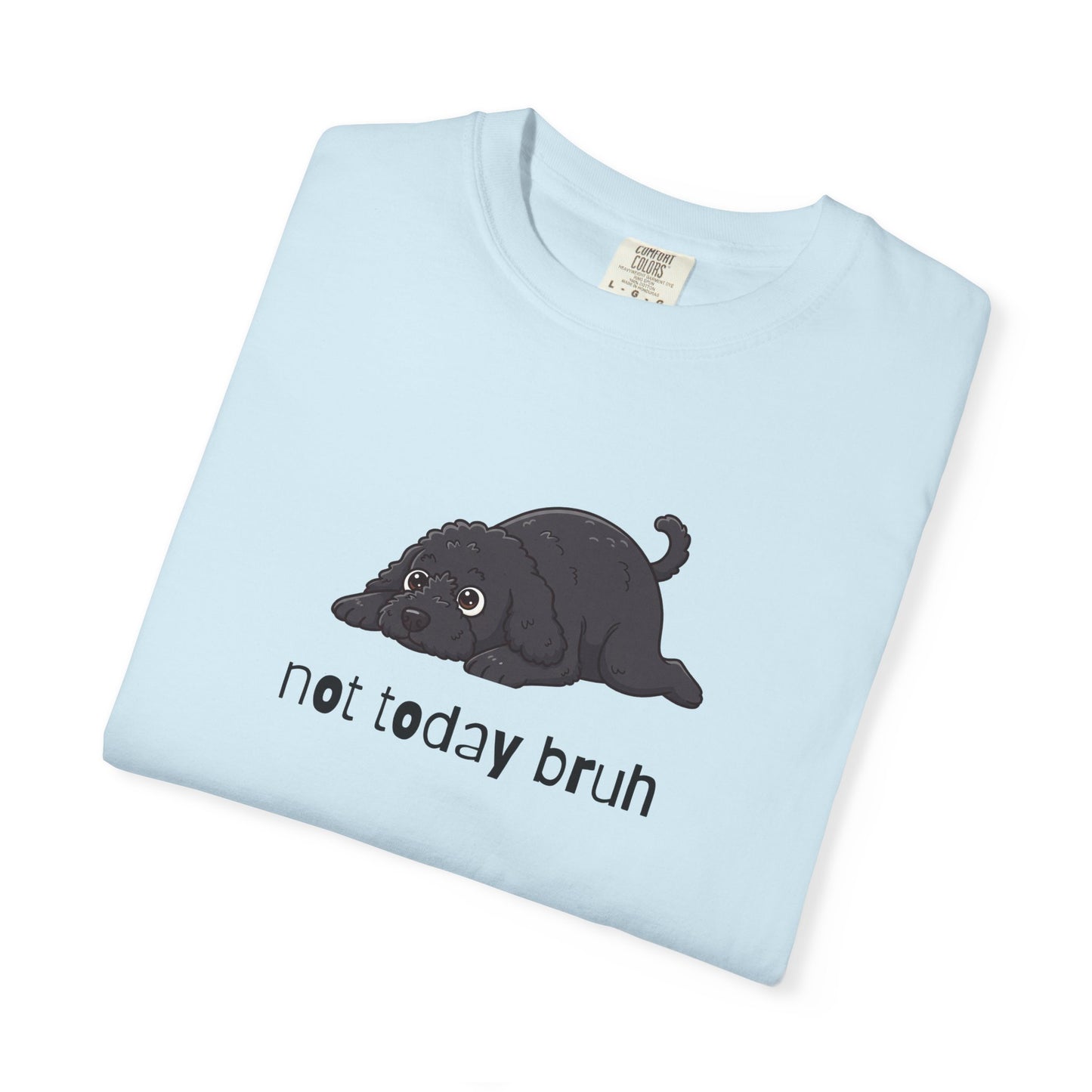 Portie Not Today Bruh T-Shirt